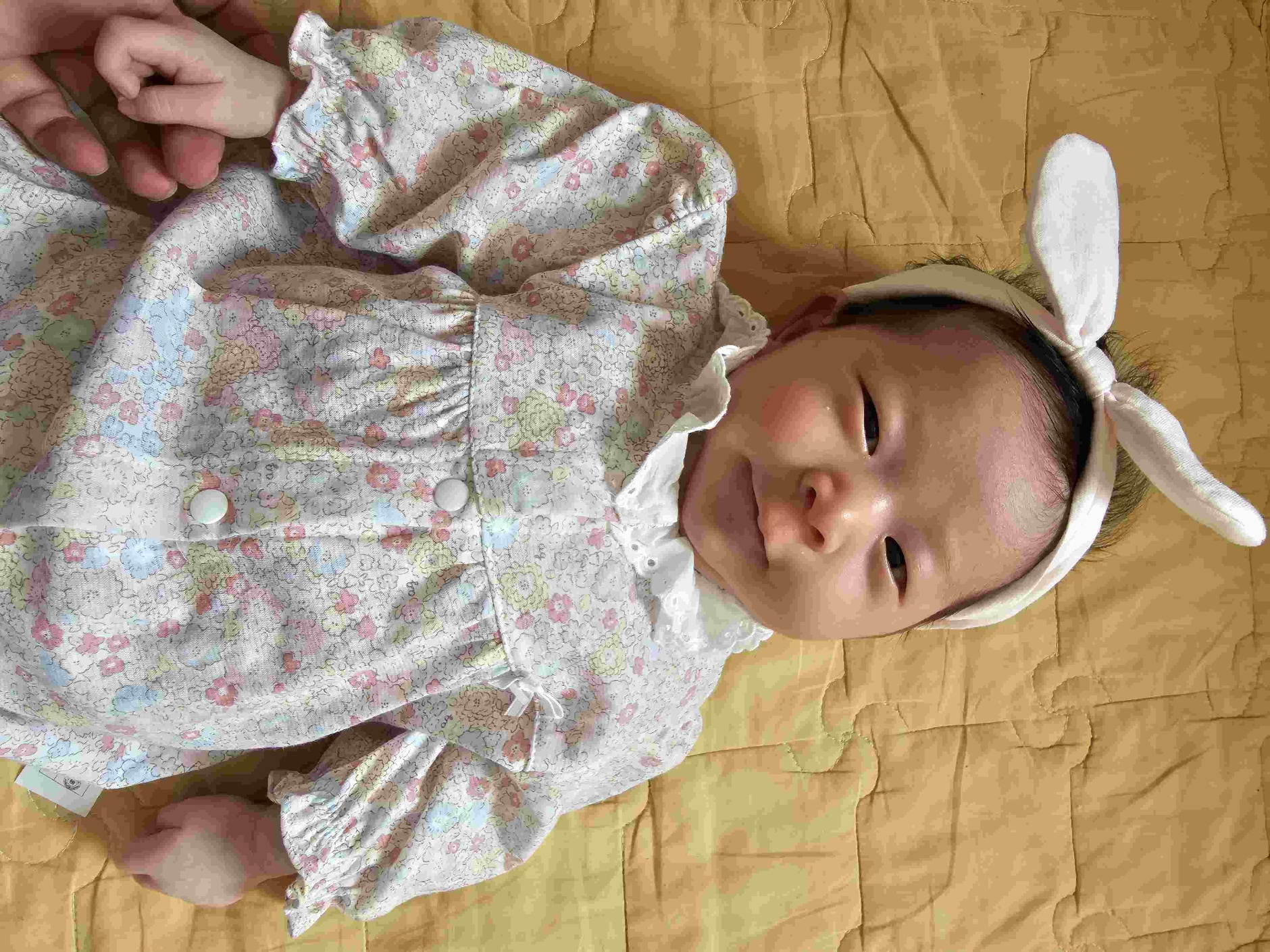 31629188_haMye6Rt_4b145632c80d4cbfd0c8f82dc8b48b6c72036af7.jpg 이미지크게보기